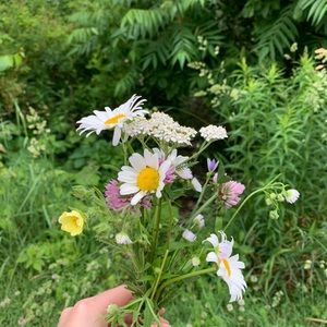 Meet your Posher, Heather